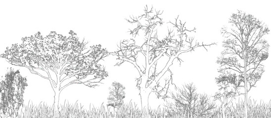 A black vector silhouette set of bare winter branches, trees, and grass against the cold sky design