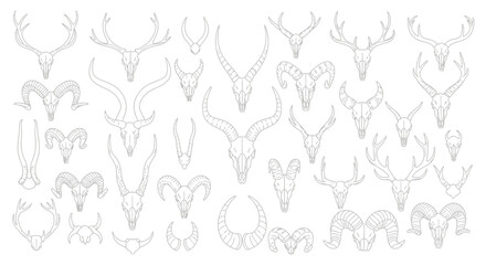 An array of animal skulls, including deer, rams, and other horned creatures, are displayed in a light, line-art style on a white background.