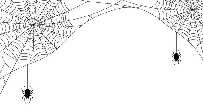 Spooky black spiders dangling from intricate cobwebs, a minimalist Halloween background design element. Hal (119).ai concept vector art