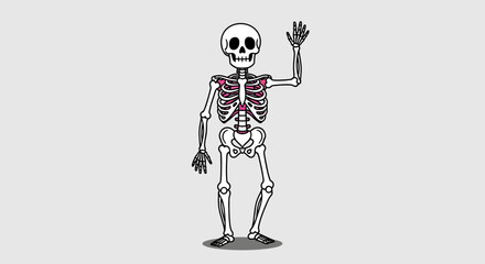 Cheerful cartoon skeleton character waving its hand in a friendly gesture, isolated anatomical vector illustration