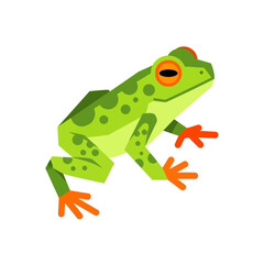 Obraz premium Vibrant green frog with bright orange feet and large expressive eyes showcasing a minimalist flat vector illustration style perfect for educational