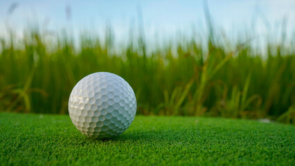Golf ball on green grass in the evening golf course with sunshine background.