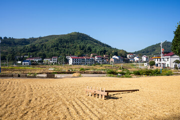 A bountiful rice harvest drying in a mountain village in Hunan, China