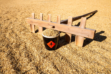 Autumn harvest of rice background material