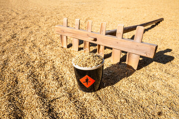 Autumn harvest of rice background material