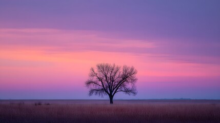 Fototapeta premium Solitary tree silhouetted against a vibrant twilight sky.