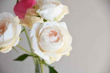 薔薇とスイートピー