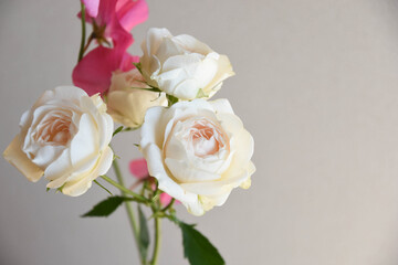 Fototapeta premium 薔薇とスイートピー
