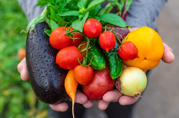 A man holding vegetables in his hands. Selective focus.