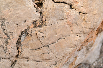 Cracks in a rock surface captured in high detail. Weathering and pressure form visible fault lines. Stone with fractured lines and splits formed by natural forces. textured stone background with crack