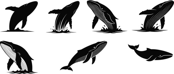 Humpback whale silhouette breaching, ocean wildlife illustration, marine animal art, black and white whale design, dynamic sea creature motion © MdShohanur
