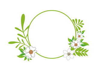 cercle encadré avec des plantes vertes