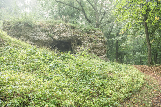 Mystischer Hexenfelsen mit Felsengesicht im Nebel im Wald auf der Marienh&ouml;he in N&ouml;rdlingen
