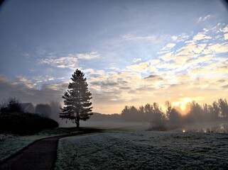 sunset in the mountains, sky, tree, park, mist,walk