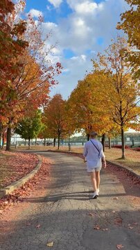A woman is walking through the old port of Montreal early in the morning on an autumn day. The trees are glowing a beautiful yellow.