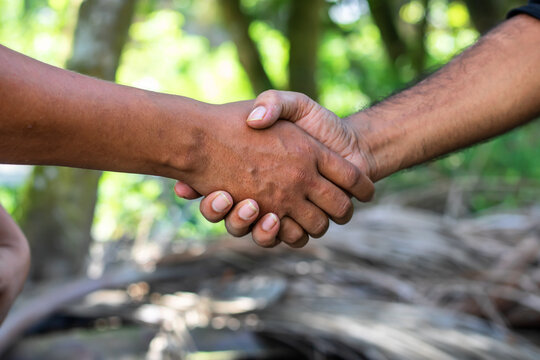 Sealing the deal with a firm handshake shows collaboration and partnership in nature, conveying trust and a shared commitment to success, making it perfect for business campaigns