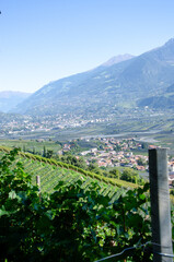 Der Marlinger Waalweg, S&uuml;dtirol