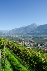 Der Marlinger Waalweg, S&uuml;dtirol