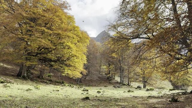 Oto&ntilde;o en el Pirineo Aranes