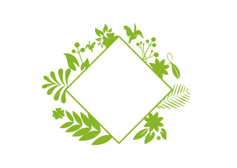 cadre carré avec des plantes vertes