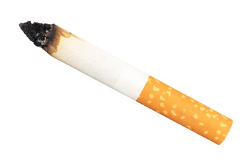 Cigarette Burnt Out on White Background