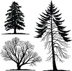 Fototapeta premium Three black silhouette trees on white background nature