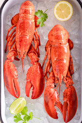 Boiled red lobster with orange butter sauce.