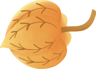 A cartoon of physalis with leaves on it