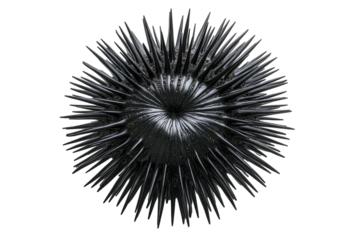 Spiky, metallic orb with a dark center against a stark black background