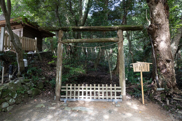 氣多大社の奥宮と森に佇む社　静寂と神秘に包まれた神域