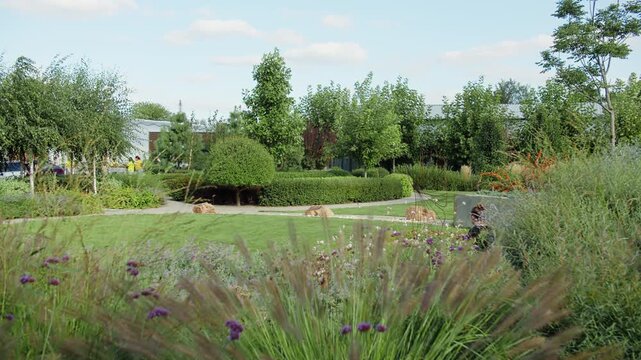 Well-kept garden with trimmed hedges and diverse ornamental plants