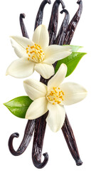 Vanilla beans with flowers and green leaves, a close-up