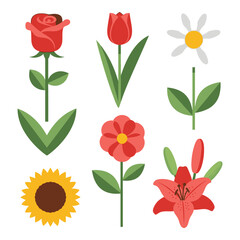 Collection of beautiful botanical flower illustrations including roses tulips sunflowers daisies and lilies for artistic projects
