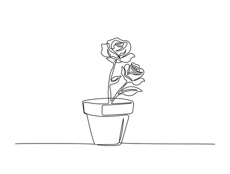 Continuous one line drawing of beautiful rose flower. Rose flower line art vector illustration.