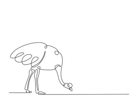 Continuous one line drawing of Ostrich bird. Ostrich bird line art vector illustration. Animal concept design.