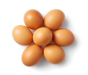 Eight brown eggs arranged in a flower shape on white background