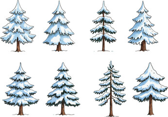 Set of cartoon snow-covered pine trees vector illustration with white background, ideal for winter forest, holiday, and Christmas designs.
