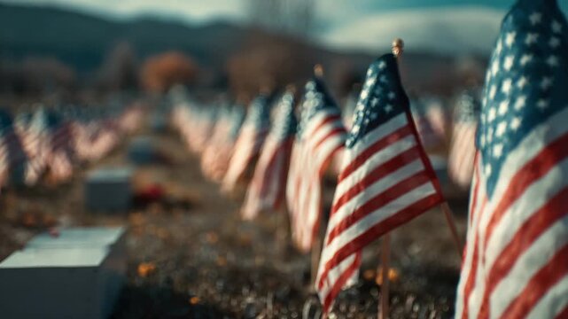 Flags are placed to honor veterans in a peaceful cemetery on a sunny autumn day