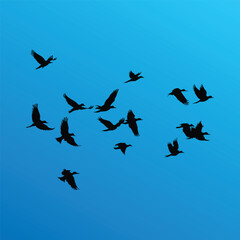 Bird silhouettes vector collection set about different flying and perched bird positions.