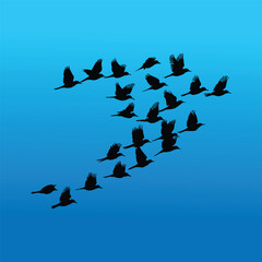 Bird silhouettes vector collection set about different flying and perched bird positions.