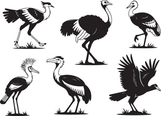 Naklejka premium Exotic birds silhouette collection on white