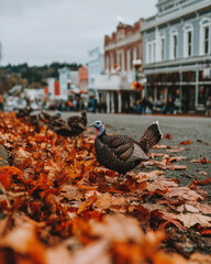 Obraz premium Turkey stands among vibrant autumn leaves on quaint town street, with historic buildings in background