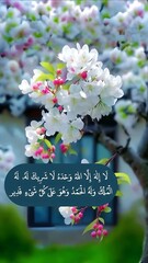 The Shahada and Islamic praise in elegant Arabic calligraphy, beautifully framed by delicate white and pink cherry blossoms on a branch in a serene garden setting.
 Generative Ai.