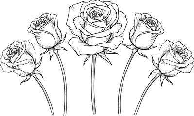 Elegant black and white line art illustration of five beautiful rose flowers
