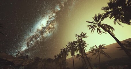 Under a twilight sky, towering palm trees frame a breathtaking view of the Milky Way. The atmosphere radiates tranquility as stars twinkle against an enchanting backdrop. - Powered by Adobe