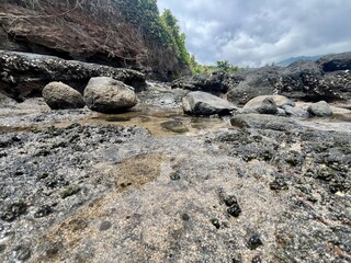 Obraz premium Faune et flore de l'île de Mayotte rocks