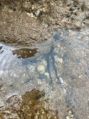 water flowing into the water