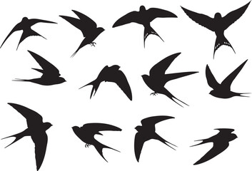 Fototapeta premium Whisk_lnzmkfwm1umzljjmtiwm2ewllzmm00iz5etytmz_traced