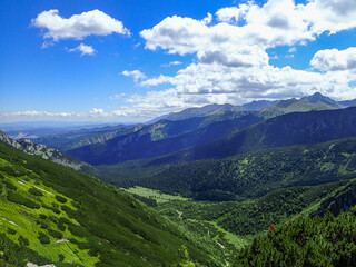 Fototapeta premium Tatra Mountains Landscape, Chochołowska Valley, Poland