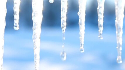 Sparkling Icicles Melting in the Winter Sun: A Close-Up View of Frozen Water Droplets - Powered by Adobe